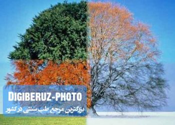 خلط صفرا (گرمی و خشکی) در طب سنتی؛ شناخت ویژگیها، تأثیرات و روشهای تنظیم مزاج صفراوی