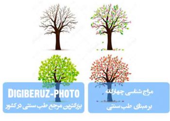 مزاجشناسی چهارگانه در طب سنتی؛ بررسی ویژگیها، خلطها و تأثیرات هر مزاج بر سلامت بدن