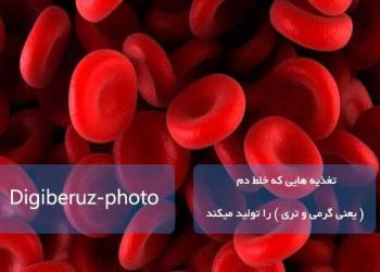 تغذیههایی که خلط دم (گرمی و تری) را در بدن افزایش میدهند؛ بر پایه منابع طب سنتی