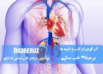 «آب‌آوردن قلب و کلیه‌ها، ورم بدن و رطوبات مغزی در طب سنتی؛ علل، تشخیص و تدابیر درمانی»