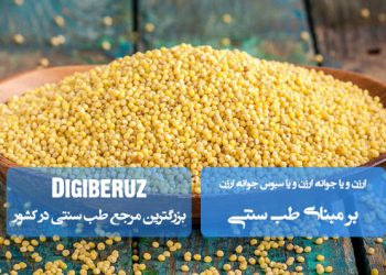 «ارزن، جوانه و سبوس آن در طب سنتی؛ تقویتکننده اعصاب، تعدیل مزاج و بهبود عملکرد گوارش»