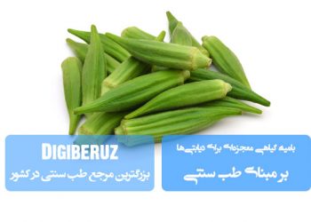 «بامیه در طب سنتی؛ گیاهی معجزه‌آسا برای کنترل قند خون، تقویت لوزالمعده و بهبود عوارض دیابت»