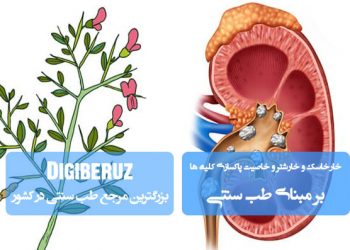«خارخاسک و خارشتر در طب سنتی؛ گیاهان مؤثر در پاکسازی کلیهها و دفع سنگ و رطوبات زائد»