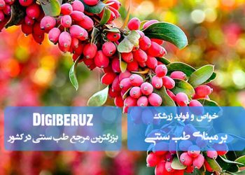 «خواص زرشک در طب سنتی؛ تقویت کبد، بهبود گوارش و کنترل قند خون»