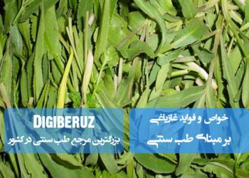 «خواص و فواید غازیاغی (شقاقل) در طب سنتی؛ تقویت معده، پاکسازی کبد و بهبود کمخونی»