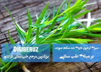 «ترخون در طب سنتی؛ داروی ضد سکته صورت و بهبود گردش خون موضعی با خواص ضد التهابی»