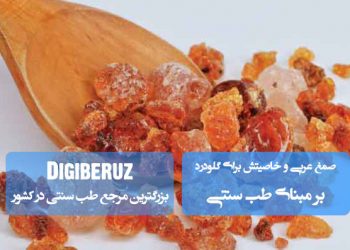 «صمغ عربی در طب سنتی؛ درمان طبیعی گلودرد، ضد التهاب و تقویت بافتهای حلق و حنجره»