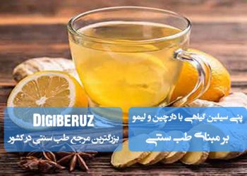 «پنیسیلین گیاهی با دارچین و لیمو در طب سنتی؛ ضد عفونت طبیعی و تقویت سیستم ایمنی»