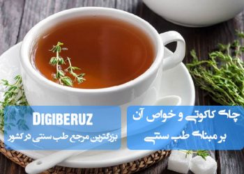 «چای کاکوتی در طب سنتی؛ تقویت معده، ضد نفخ، آرامبخش اعصاب و بهبود سرماخوردگی»