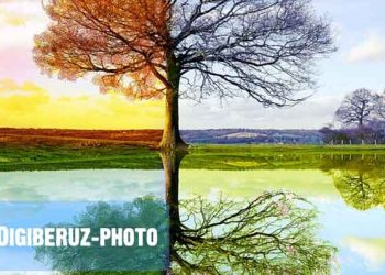 گرمیجات یا سردیجات؛ راهنمای انتخاب خوراکیها بر اساس مزاج در طب سنتی ایرانی