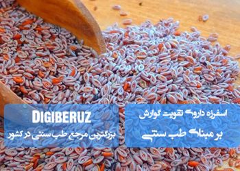 اسفرزه در طب سنتی؛ ملین طبیعی، موثر در درمان یبوست، پاکسازی رودهها، کاهش صفرا و تنظیم حرارت بدن با طبع سرد و تر