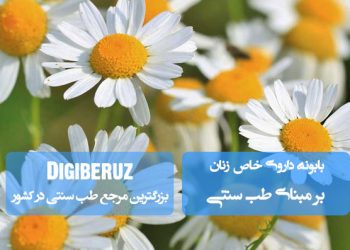 بابونه؛ داروی خاص زنان در طب سنتی، مفید برای تنظیم قاعدگی، تسکین دردهای رحمی و آرامشبخش اعصاب با طبع گرم و خشک.
