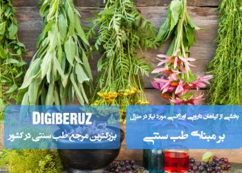 «بخشی از گیاهان دارویی اورژانسی مورد نیاز در منزل؛ درمانهای سریع و طبیعی در طب سنتی»