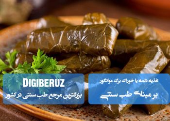 تغذیه دلمه یا خوراک برگ مو (انگور) در طب سنتی؛ مقوی معده، خنککننده کبد و مفید برای پاکسازی خون.