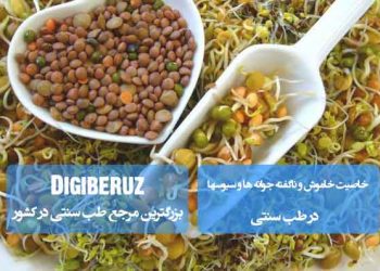 خاصیت خاموش و ناگفته جوانه‌ها و سبوس‌ها بر مبنای طب سنتی؛ بررسی تأثیرات پنهان بر مزاج و سلامت بدن