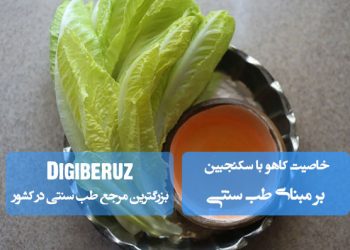 خاصیت کاهو با سکنجبین در طب سنتی؛ آرام‌بخش اعصاب، رفع عطش، تصفیه‌کننده خون و تقویت معده با طبع معتدل و خنک.