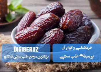خرماشناسی در طب سنتی؛ معرفی انواع خرما با طبع گرم و تر، مقوی عمومی بدن، خونساز، تقویتکننده قوای جنسی و حافظه.