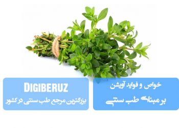 «خواص و فواید آویشن در طب سنتی؛ تقویت سیستم ایمنی، بهبود گوارش و ضدالتهاب طبیعی»
