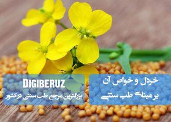 خردل در طب سنتی؛ گرم و محرک، ضدعفونیکننده، بهبود دردهای مفصلی و کمک به هضم بهتر غذا.