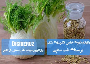 «رازیانه؛ داروی خاص لاغری شکم در طب سنتی؛ تنظیم هضم، کاهش نفخ و تسریع متابولیسم»