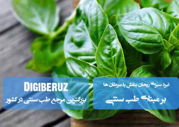 ریحان در طب سنتی؛ با طبع گرم و خشک، تقویت‌کننده قلب، مقوی اعصاب، ضدسوءهاضمه، معطر و نشاط‌آور، مفید در درمان سردرد و نفخ