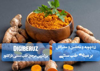 زردچوبه در طب سنتی؛ ضدالتهاب قوی، تقویتکننده کبد، بهبود هضم، اما مصرف زیاد باعث خشکی و گرمی بیش از حد میشود.