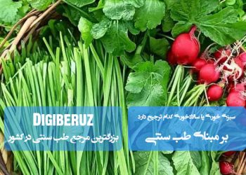 «سبزی‌خوری یا سالادخوری: کدام بهتر است؟ بررسی مزایا و تاثیرات سلامت در طب سنتی»