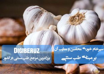 سیر خامخوری در طب سنتی؛ محاسن شامل تقویت قوای بدن و ضدعفونیکننده، معایب شامل افزایش حرارت و تحریک معده