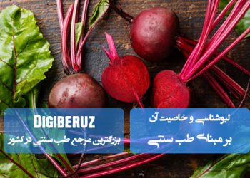 لبوشناسی و خواص لبوش در طب سنتی؛ تقویتکننده کبد و معده، پاککننده سموم، ضدالتهاب و بهبود هضم با طبع گرم و خشک