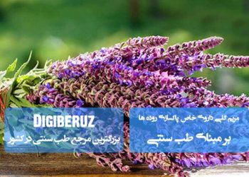 مریم‌گلی در طب سنتی؛ دارویی موثر برای پاکسازی روده‌ها، ضد التهاب و تقویت سیستم گوارش با طبع گرم و خشک.