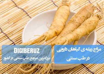 مزاج ریشه گیاهان دارویی بر مبنای طب سنتی؛ تحلیل تأثیرات گرمکننده، خشککننده و تقویتکننده بر تعادل اخلاط