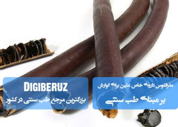 «مغز فلوس؛ داروی خاص ملین برای بهبود گوارش و رفع یبوست در طب سنتی»