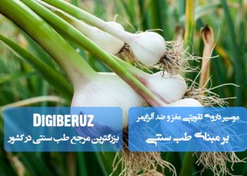 «موسیر در طب سنتی: داروی تقویتی مغز، پیشگیری از آلزایمر و کاهش فشار خون