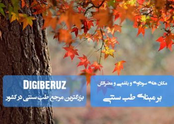 «مکانهای سوداوی و بلغمی در بدن و مضرات آنها؛ بررسی تأثیرات مزاجی در طب سنتی»