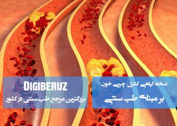 نسخه گیاهی تخصصی کنترل چربی خون در طب سنتی برای سلامت بهتر و کاهش عوارض قلبی