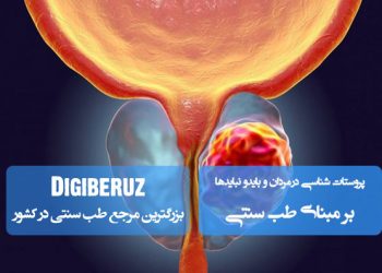پروستاتشناسی در مردان و بایدها و نبایدهای طب سنتی؛ بررسی مزاج پروستات، علل اختلالات و درمانهای گیاهی و تغذیهای مؤثر.