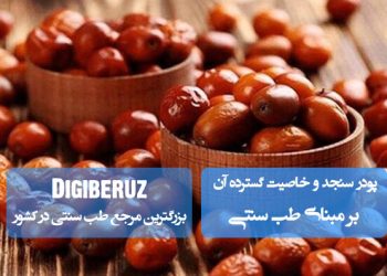 پودر سنجد در طب سنتی؛ گرم و خشک، قابض، ملین، ضد التهاب، تقویتکننده قلب و بهبوددهنده گوارش.