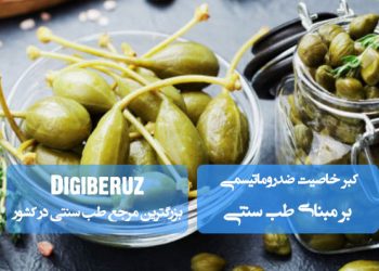 کبر در طب سنتی؛ گیاهی با طبع گرم و خشک، مفید برای پاکسازی مفاصل، ضد روماتیسم، تقویت کبد و بازکننده انسدادها.