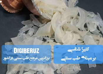 «کتیراشناسی در طب سنتی؛ خواص درمانی، کاربردها و نحوه مصرف کتیرا برای سلامت بدن»
