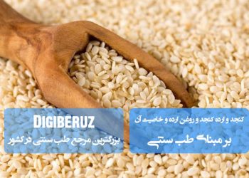 «کنجد، ارده کنجد و روغن آن در طب سنتی؛ تقویتکننده قوای عمومی، بهبود پوست و تنظیم مزاج»