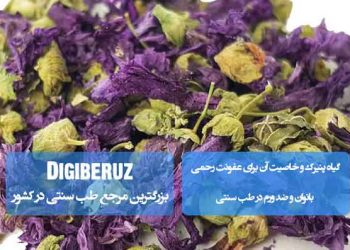 گیاه پنیرک و خواص آن در طب سنتی؛ درمان عفونت رحمی بانوان و اثرات ضدورمی مؤثر