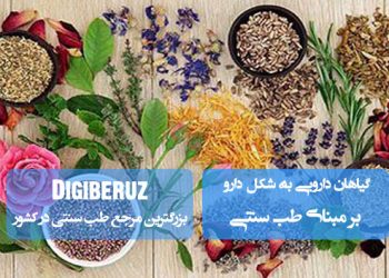 «نحوه مصرف گیاهان دارویی به شکل دارو در طب سنتی؛ از جوشانده تا حب و سفوف»