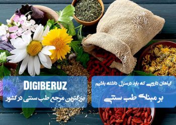 گیاهان دارویی ضروری برای هر خانه در طب سنتی؛ از نعناع و آویشن تا گل گاوزبان و اسفرزه برای سلامت خانواده