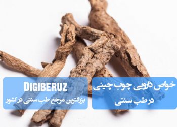 "خواص دارویی چوب چینی در طب سنتی؛ بهبود عملکرد گوارش، تقویت گردش خون و کمک به تعادل انرژی بدن"