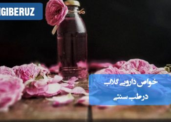 خواص دارویی گلاب در طب سنتی؛ آرامبخش اعصاب، رفع خستگی، بهبود کیفیت پوست و کمک به تسکین سردرد و التهابات