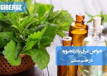 خواص عرق بادرنجبویه در طب سنتی؛ آرامبخش قوی، تقویت قلب و مغز، رفع اضطراب، بهبود افسردگی و تنظیم خواب