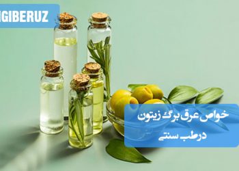 خواص عرق برگ زیتون در طب سنتی؛ کاهش قند و فشار خون، تقویت قلب و ایمنی، ضد سرطان و کمک به لاغری و سلامت استخوان‌ها