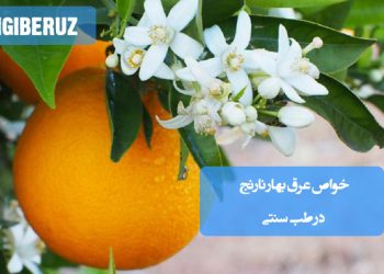 خواص عرق بهار نارنج در طب سنتی؛ آرامبخش اعصاب، تقویت معده، کمک به هضم غذا، کاهش اضطراب و بهبود کیفیت خواب