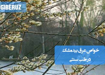 خواص عرق بیدمشک در طب سنتی؛ تقویت قلب، آرامبخش اعصاب، کاهش حرارت بدن و مؤثر در درمان تپش قلب و بیخوابی