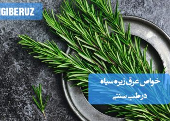 خواص عرق رزماری در طب سنتی؛ تقویت حافظه و تمرکز، بهبود هضم، کاهش التهاب و درد، تقویت سیستم ایمنی، افزایش چربیسوزی و سلامت پوست و مو، کمک به کاهش استرس و محافظت از بدن در برابر رادیکالهای آزاد و پیری زودرس